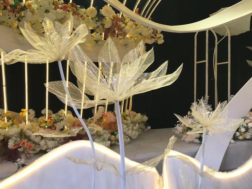 美纹花【运费自理】 商品图5