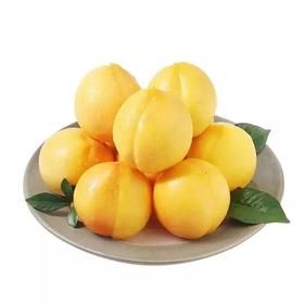 精品黄油桃约700g