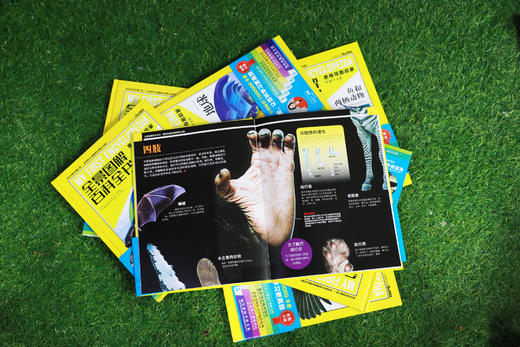 全景图解百科全书：思维导图启蒙典藏中文版【樊登老师直播推荐、欧阳自远院士推荐】每册赠一张思维导图 商品图4