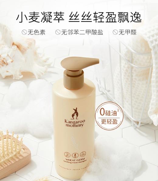 【孕味秒杀专属】袋鼠妈妈 小麦胚芽舒润净爽洗发露300g 孕妇洗发露洗发水孕妇护肤品 商品图0