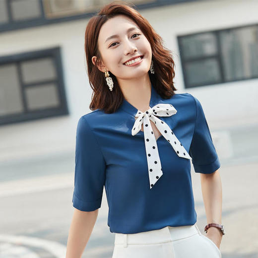 ZS-YZH3539夏季新款韩版气质职业衬衫 商品图0