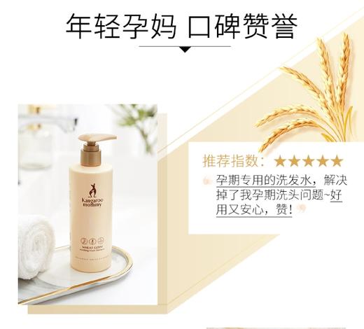 【孕味秒杀专属】袋鼠妈妈 小麦胚芽舒润净爽洗发露300g 孕妇洗发露洗发水孕妇护肤品 商品图6