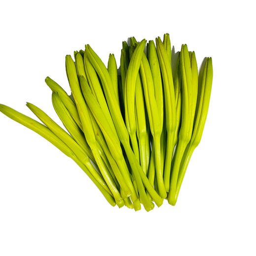 顺丰包邮湖南祁东新鲜黄花菜600g