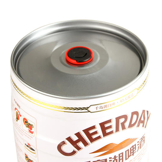 11°P千岛湖啤酒白啤5L*1桶 德国特色原料 巴伐利亚州白啤酒风味 商品图5