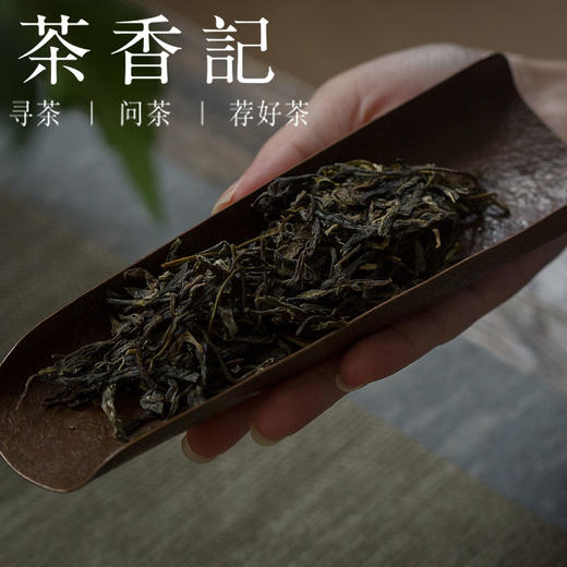 茶香记 七识处古树生普2020年 古树头春纯料 转化迷人 甜柔生津 商品图2