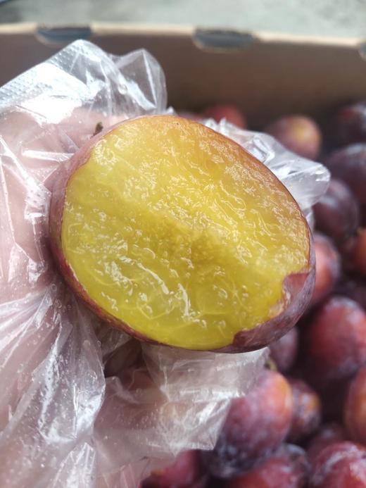 美国大西梅西梅像一位高贵的女神紫衣薄纱清香袭人关键是人家明明靠