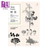 预售 【中商原版】野果Wild Fruits183种果实踏查 港台原版 亨利.梭罗 自由之丘 植物科普 商品缩略图1