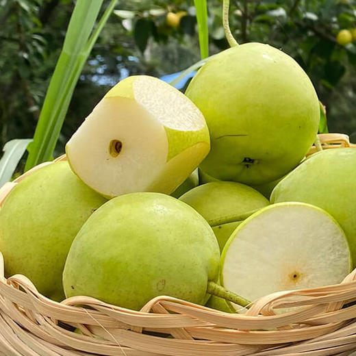 【四川攀枝花 迷梨】净重约4.8斤，14枚-18枚 商品图1