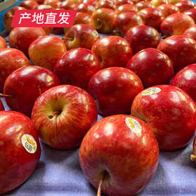 【塔斯马尼亚独家“Tiger Fuji”糖心虎苹果】12枚装，到货130-160g