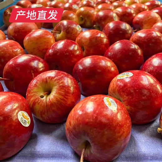 【塔斯马尼亚独家“Tiger Fuji”糖心虎苹果】12枚装，到货130-160g 商品图0