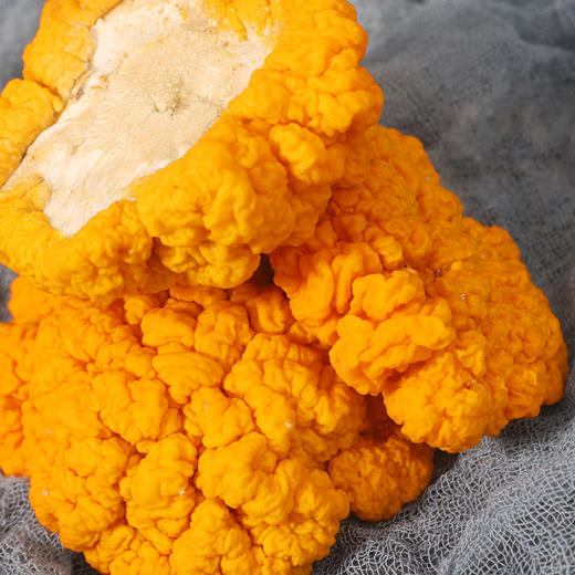 新鲜金耳云南金耳菌500g黄耳半野生黄木耳糯耳黄金耳金银耳菌菇