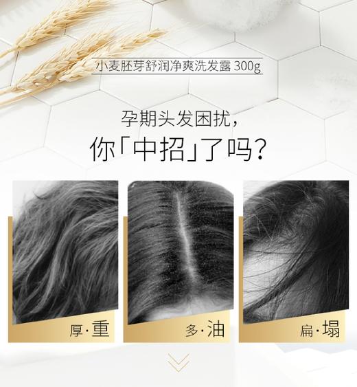 【孕味秒杀专属】袋鼠妈妈 小麦胚芽舒润净爽洗发露300g 孕妇洗发露洗发水孕妇护肤品 商品图3