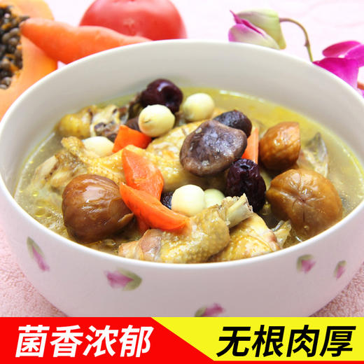 毕节黔西【水西一弄美味香菇】100g 全国包邮 部分地区不发货 商品图0