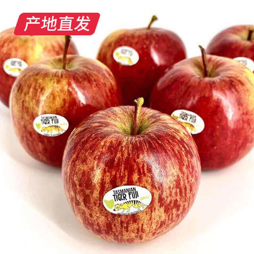 【塔斯马尼亚独家“Tiger Fuji”糖心虎苹果】12枚装，到货130-160g 商品图1