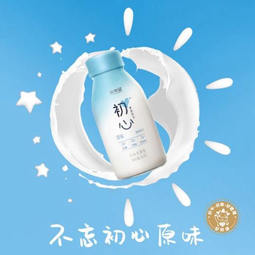 【GY】新希望塑瓶初心风味发酵乳250ml 商品图2