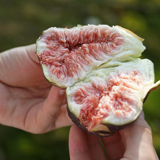 顺丰包邮四川威远蓉品鲜无花果