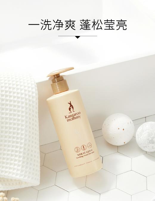 【孕味秒杀专属】袋鼠妈妈 小麦胚芽舒润净爽洗发露300g 孕妇洗发露洗发水孕妇护肤品 商品图4