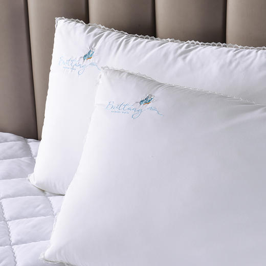 多喜爱 第二代颜悦蚕丝蛋白美眠枕cs 商品图1