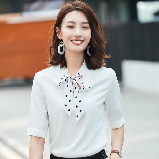 ZS-YZH3539夏季新款韩版气质职业衬衫 商品图2