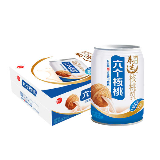 养元六个核桃智汇养生（240mL*15/箱） 商品图0