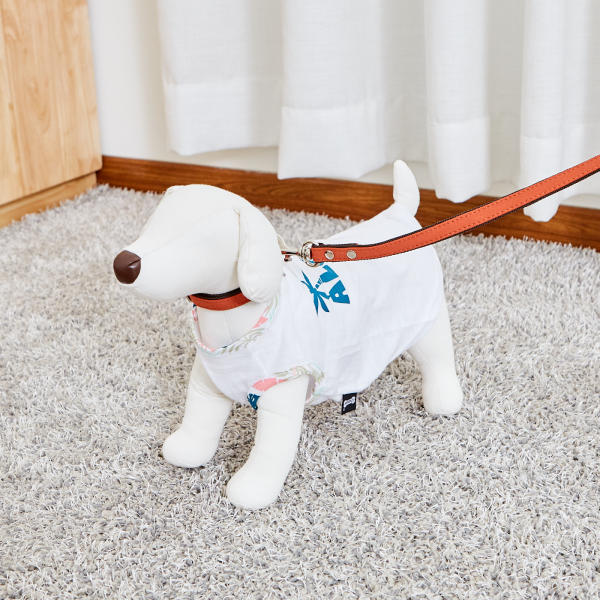 佩特博恩 Petborn 狗狗桔色项圈 130cm Dog collarJPY带授权招加盟代理