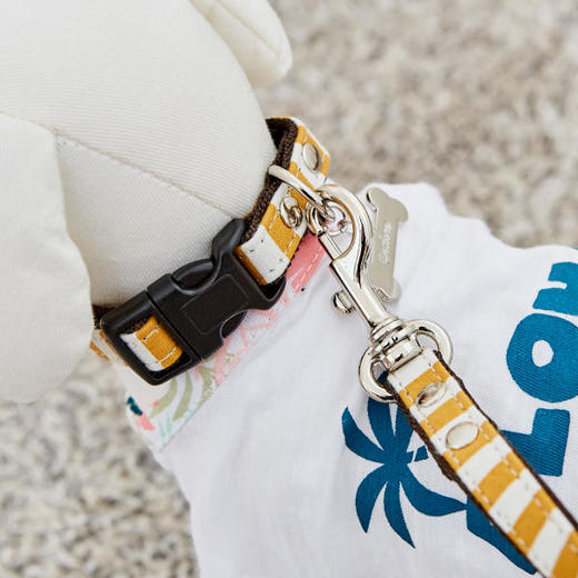 佩特博恩 Petborn 狗狗项圈Dog collar 条纹黄白 M 1805748896JPY带授权招加盟代理 商品图0