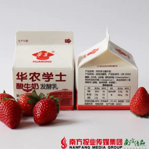 【珠三角包邮】华农学士酸奶  236mL/盒  10盒/份（6月1日到货） 商品图0