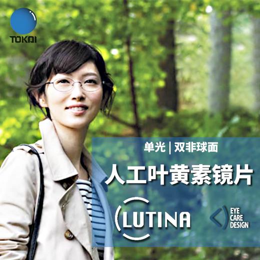 东海 定制 LUTINA双非球面镜片 商品图0