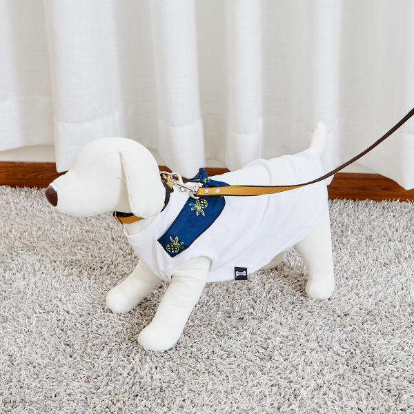 佩特博恩 Petborn 狗狗项圈Dog collar M 1805748916JPY带授权招加盟代理