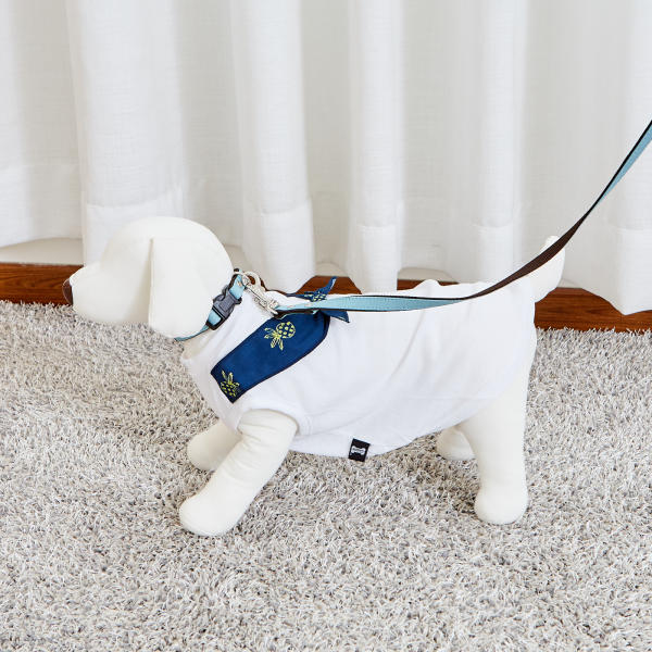 佩特博恩 Petborn 狗狗项圈Dog collar薄荷 L 1805748923JPY带授权招加盟代理