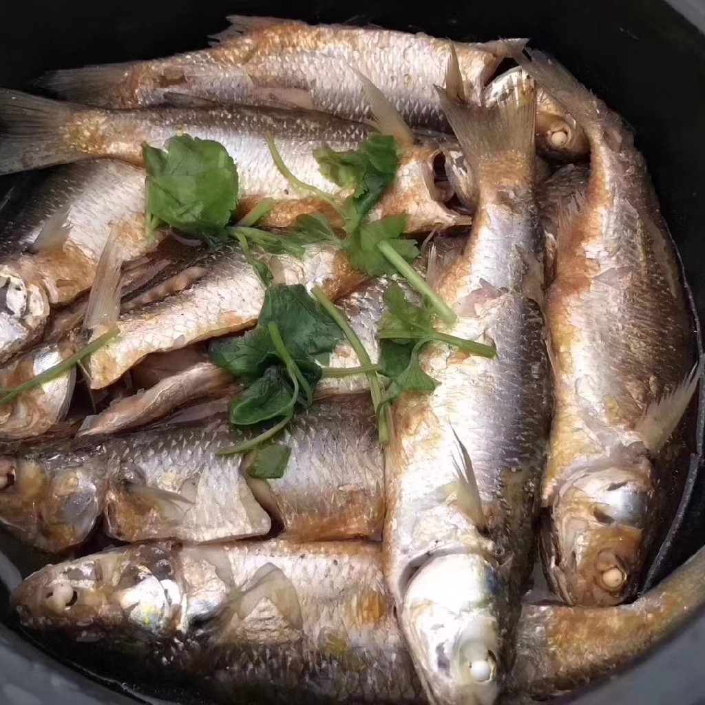 青弦魚是潮汕地區夏季當季最好吃的海魚之一,含有多種營養,有低膽固醇