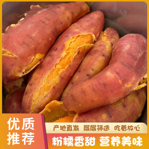 六鳌红蜜薯 商品图5