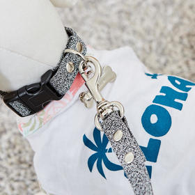 佩特博恩 Petborn 狗狗银色项圈 M Dog collarJPY带授权招加盟代理