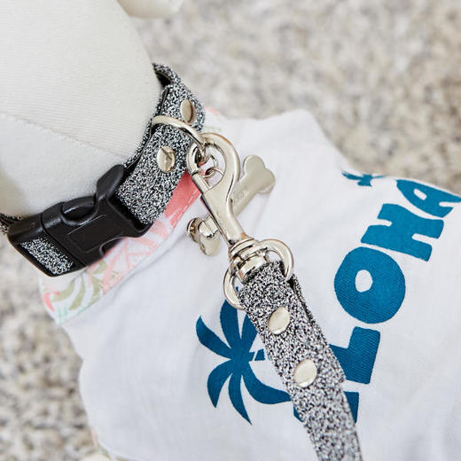 佩特博恩 Petborn 狗狗银色项圈 M Dog collarJPY带授权招加盟代理 商品图0