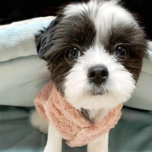 佩特博恩Petborn宠物狗背心粉红色S clothes for pets 1811147724JPY带授权招加盟代理 商品图0