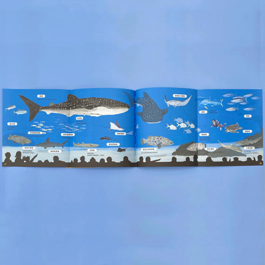【点读版】一起去逛动物园水族馆：全2册 商品图3