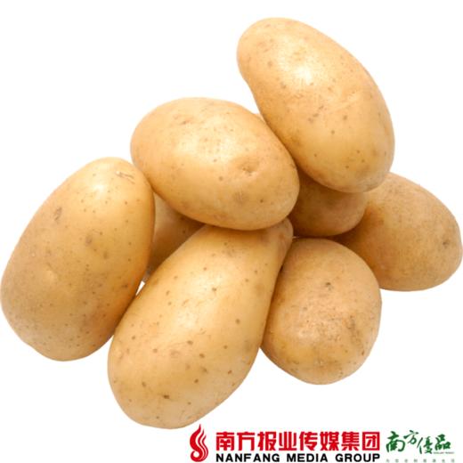 【全国包邮】紫阳富硒高山土豆 5斤±2两/箱 （48小时之内发货） 商品图0