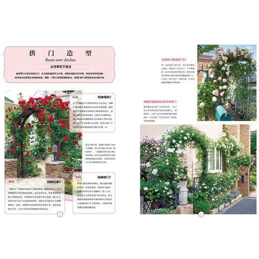 月季新手百科 后藤绿著 养花 日本玫瑰 新手养花 园艺 植物艺术 新手入门 图文展示 中信 日本玫瑰世家传人30年月季栽培经验 商品图1