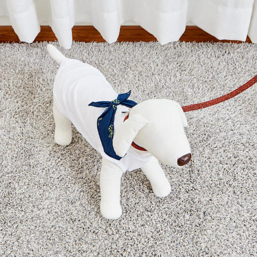 佩特博恩 Petborn 狗狗项圈Dog collar红色 L 1805748918JPY带授权招加盟代理 商品图1