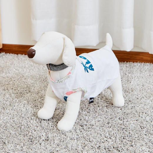 佩特博恩 Petborn 狗狗银色项圈 M Dog collarJPY带授权招加盟代理 商品图2