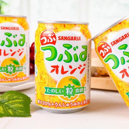 三德利 果汁饮料 商品图2