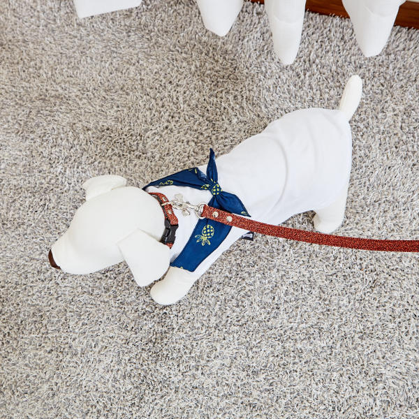 佩特博恩 Petborn 狗狗红色项圈 130cm Dog collarJPY带授权招加盟代理