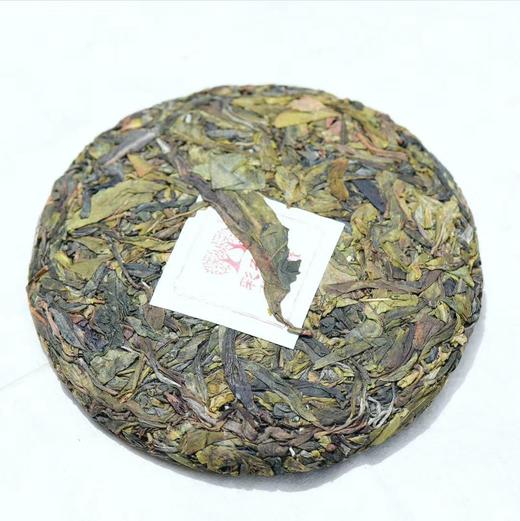 彩农茶｜老班章2020头春古树金玉天 商品图2
