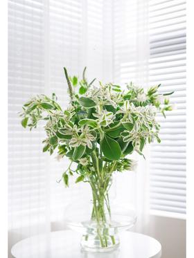 【周四团购】叶上花一把39.8元 2人拼团