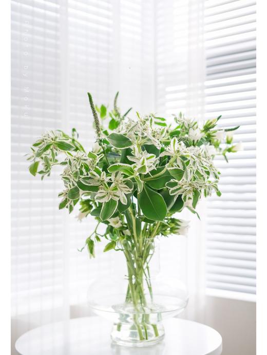 【周四团购】叶上花一把39.8元 2人拼团 商品图0