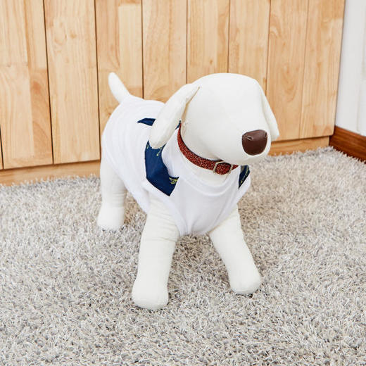 佩特博恩 Petborn 狗狗项圈Dog collar红色 L 1805748918JPY带授权招加盟代理 商品图2