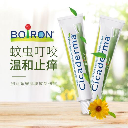 蚊虫止痒膏30g法国boiron宝弘86年研发成果快速止痒消肿愈合伤口众多