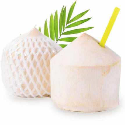 【百汇到家】海南香水椰子 商品图0