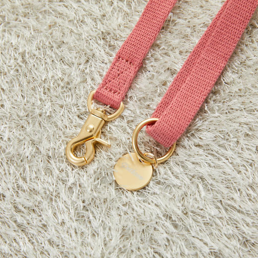 佩特博恩Petborn狗狗牵引绳Dog leash 2M 独立粉色 1903201864JPY带授权招加盟代理 商品图2