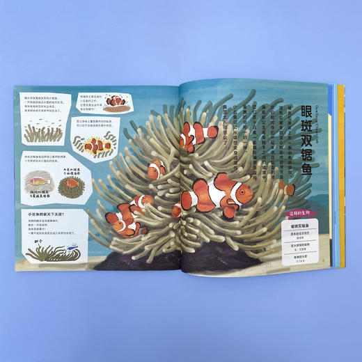 【点读版】一起去逛动物园水族馆：全2册 商品图2